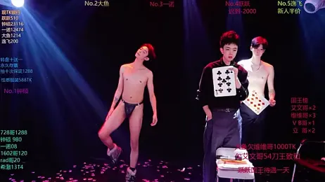 BOYGAYHOUSE1 webcam model stream image