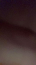 MrALFAsexy webcam model stream image