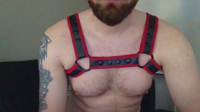 redbearded webcam model stream image