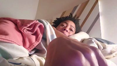 FATISS webcam model stream image