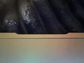 ashemash webcam model stream image
