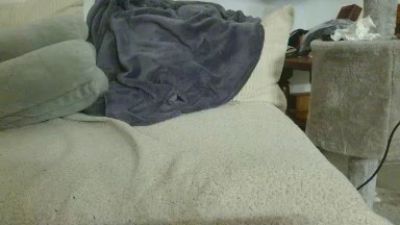 Teamtouch webcam model stream image
