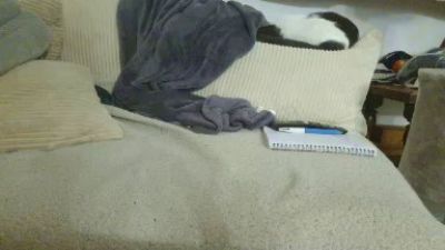 Teamtouch webcam model stream image