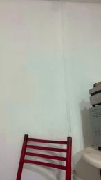 IronLux webcam model stream image