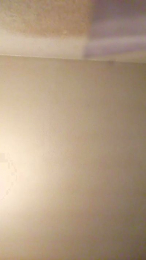 PETITECOCHO webcam model stream image