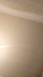 PETITECOCHO webcam model stream image