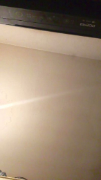 PETITECOCHO webcam model stream image