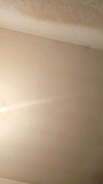 PETITECOCHO webcam model stream image