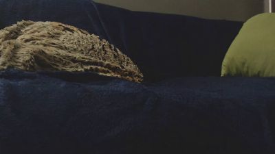 santa_mfeira webcam model stream image