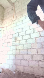 peneerecto_fun webcam cam4 model stream image