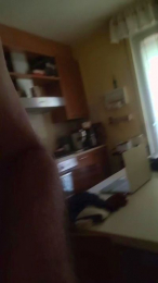 wolf_free webcam model stream image