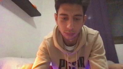 Vitruvio30 webcam cam4 model stream image