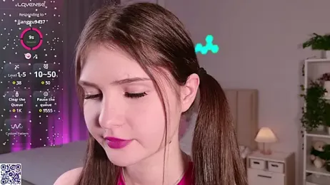 LeraKit webcam model stream image