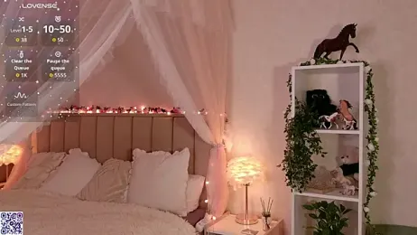 LeraKit webcam model stream image