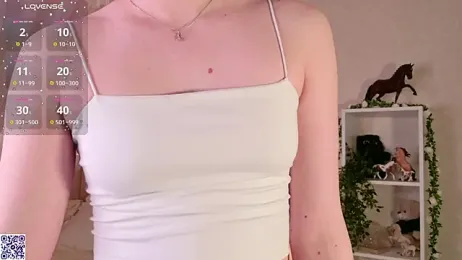 LeraKit webcam model stream image