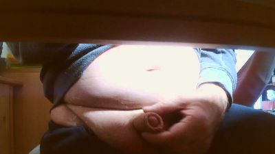 legov4 webcam model stream image