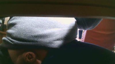 legov4 webcam model stream image