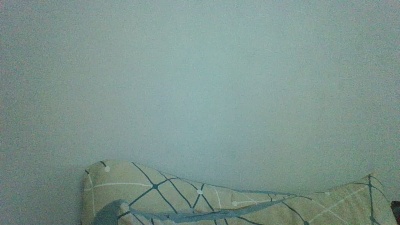 Alers87 webcam model stream image