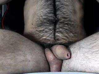 lapijarg webcam model stream image