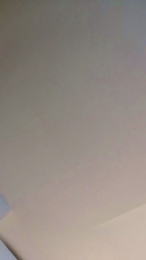 84Koku webcam model stream image
