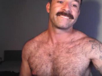 shaggytopple webcam model stream image