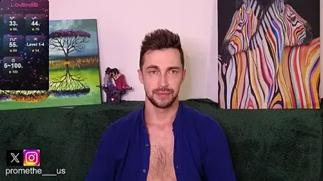 Promethe_us webcam model stream image