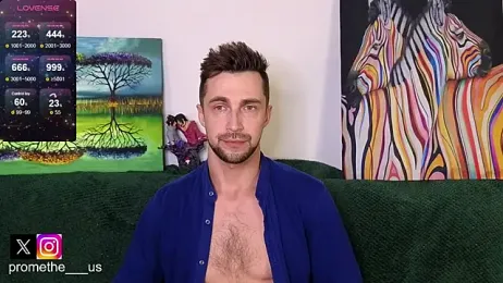 Promethe_us webcam model stream image