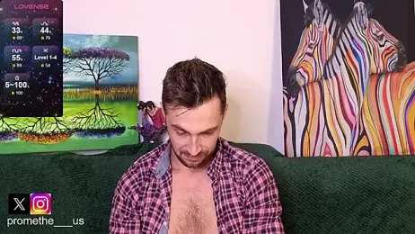 Promethe_us webcam model stream image