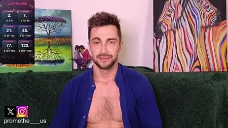 Promethe_us webcam model stream image