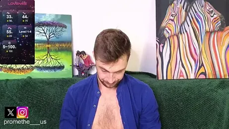 Promethe_us webcam model stream image