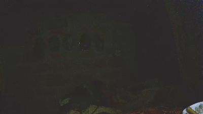 carlos9180 webcam model stream image
