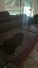 Durii4 webcam model stream image