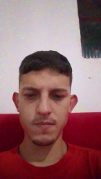 SDOlyver webcam model stream image