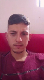 SDOlyver webcam model stream image