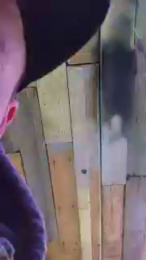 MIXEDROMANTIC webcam model stream image