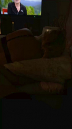 Seyaa45 webcam model stream image