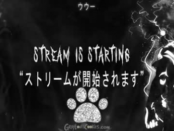 graylovescookies webcam chaturbate model stream image