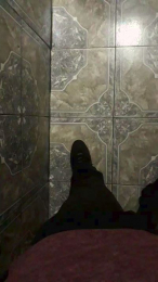 Rocky_y_Mimi webcam model stream image