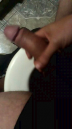 Rocky_y_Mimi webcam model stream image