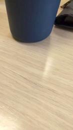 HairyFrenchcock webcam cam4 model stream image