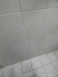 SilkyArchitecture8 webcam stripchat model stream image