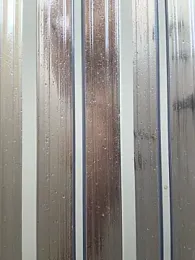 lion-rouge webcam model stream image