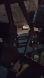 Tiiococo webcam model stream image