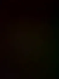 19whitebunny webcam model stream image