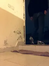 Yasar-Xxxl webcam stripchat model stream image