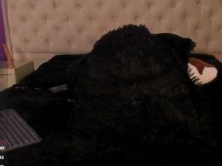 littleecherry webcam model stream image
