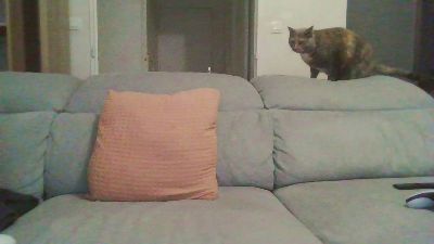 Zer_oki webcam model stream image