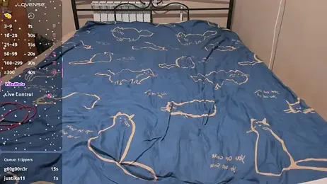 eva_zero webcam model stream image