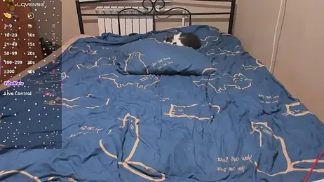 eva_zero webcam model stream image