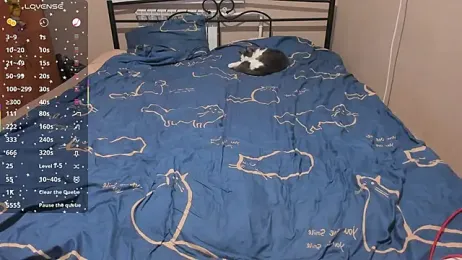 eva_zero webcam model stream image